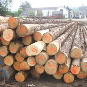 Gemischtes Hartholz-Stammholz – LKW-Lieferung – PEFC-zertifiziert